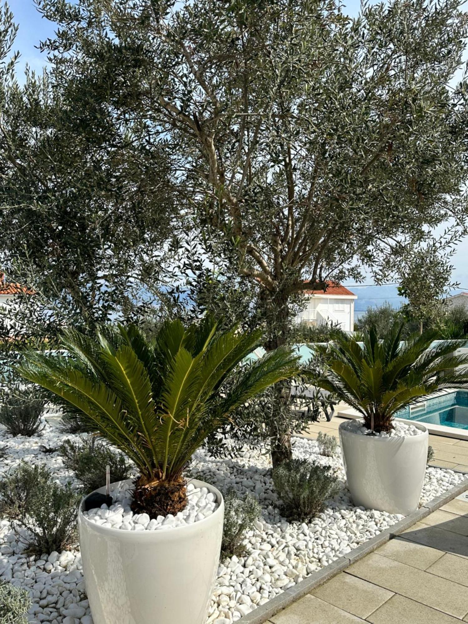 Apartments Marina Трогир Екстериор снимка